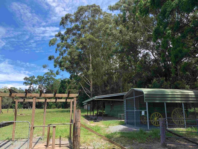 Wominjeka Park-All sheds