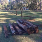 fence posts with toilet in background.jpg